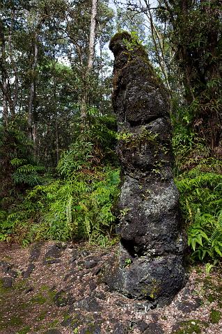 032 Big Island, Hilo, Pahoa Lava Tree State Monument.jpg